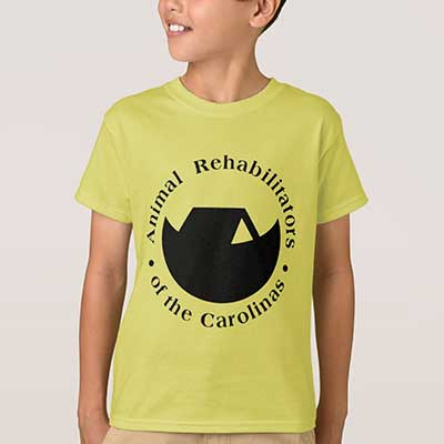 Save The Sea - Image 4